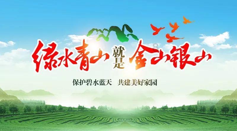 竞技宝如何